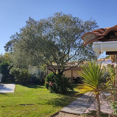 Maison Familiale En Bois Avec Piscine, Proche Du Bassin Gujan-Mestras Esterno foto