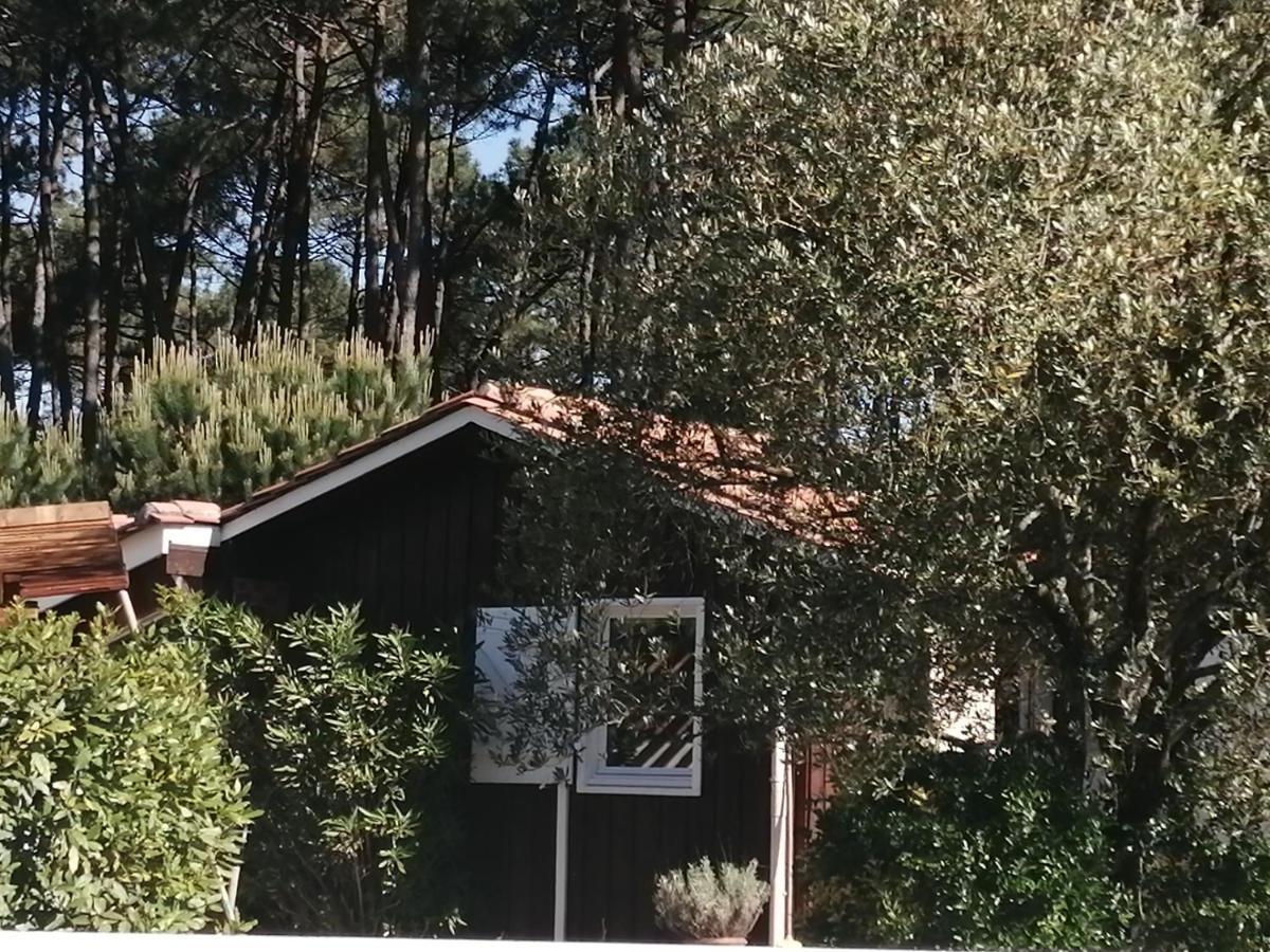 Maison Familiale En Bois Avec Piscine, Proche Du Bassin Gujan-Mestras Esterno foto